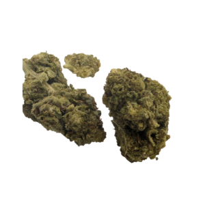 Orange bud