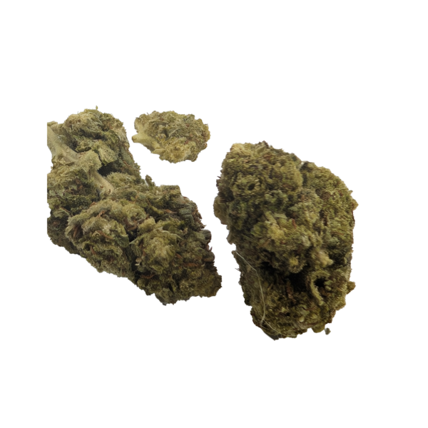Orange bud