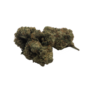 Exotic Bud