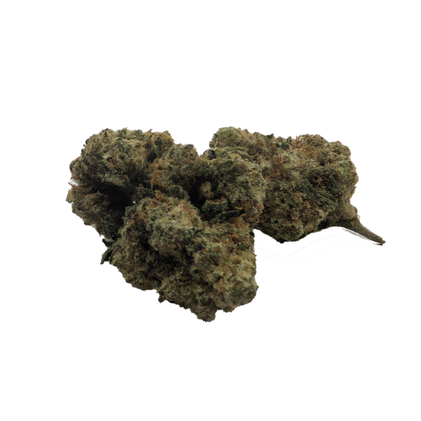 Exotic Bud