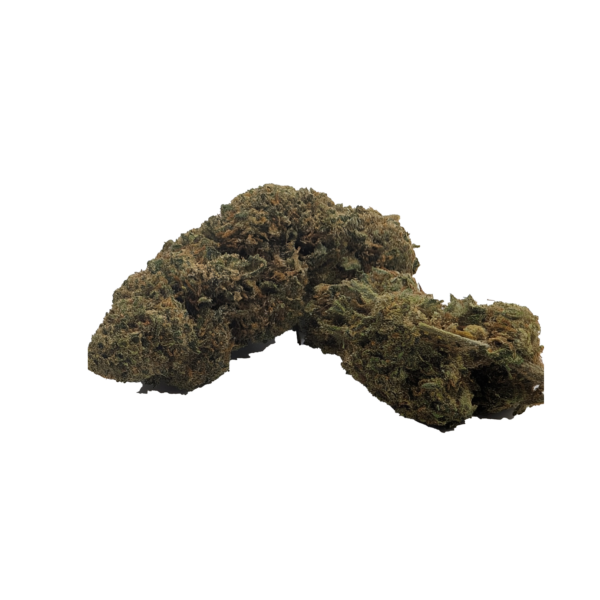 Ice Kush indoor